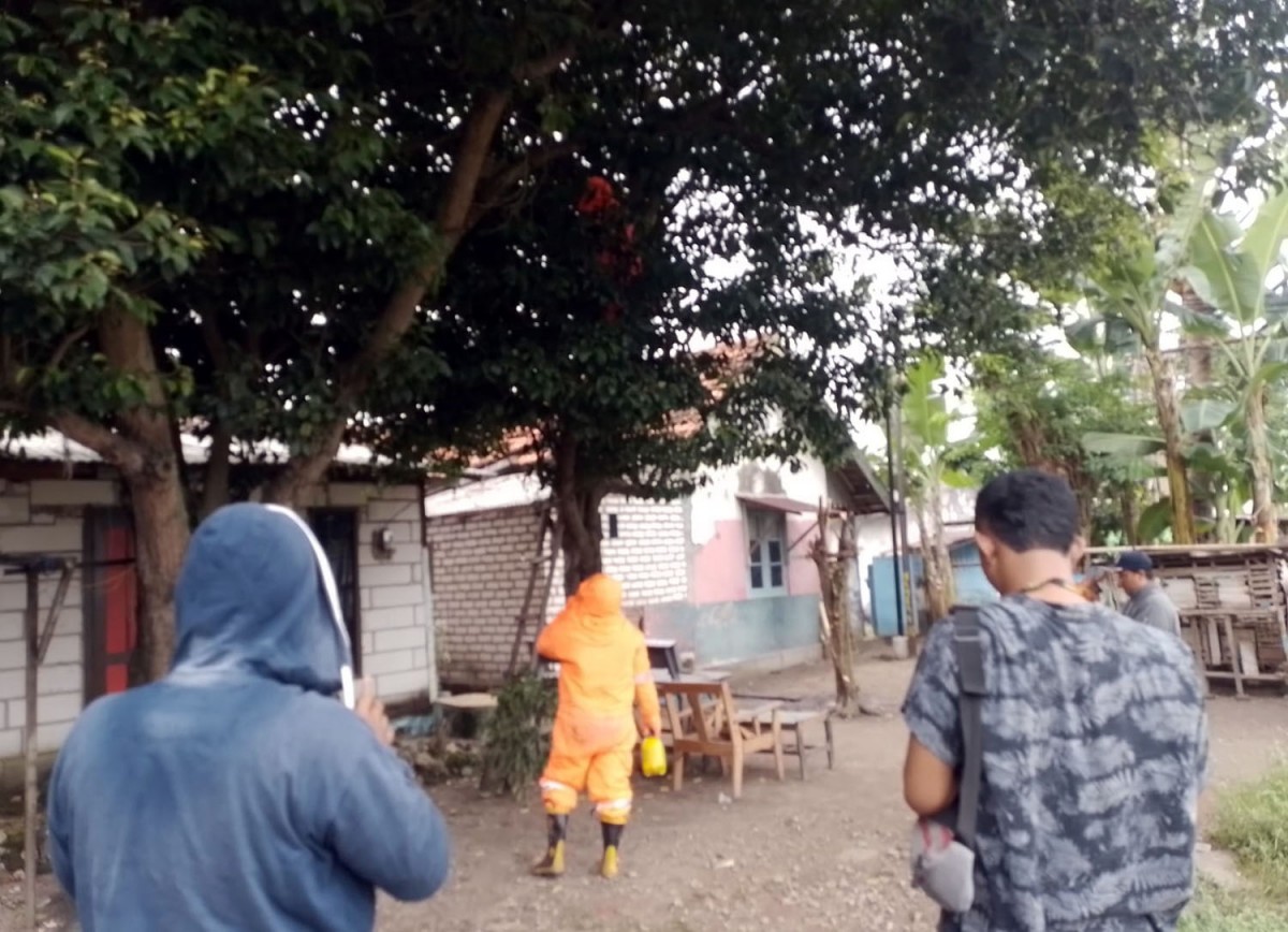 Petugas Damkar Bangkalan saat mengevakuasi tawon vespa (Foto: Damkar Bangkalan)