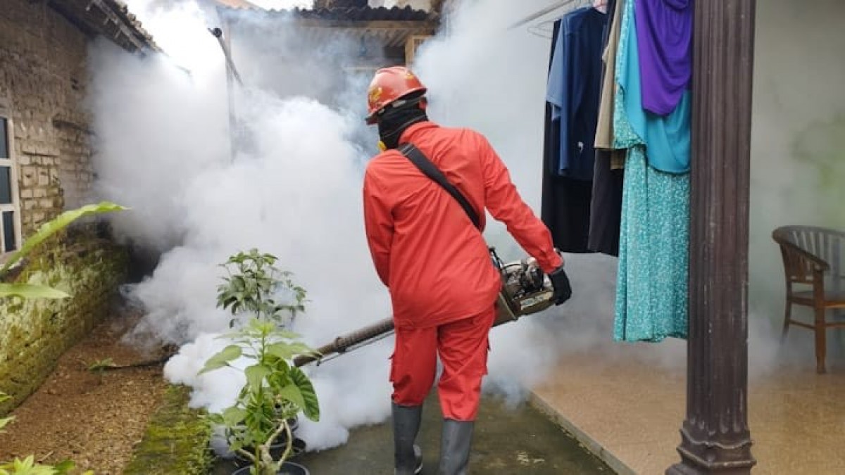 Warga Pacitan Meninggal Diduga DBD, Penjelasan Dinkes Tegas!