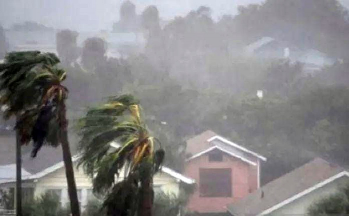 Hujan deras disertai angin kencang (Foto: Dok. jatimnow.com)