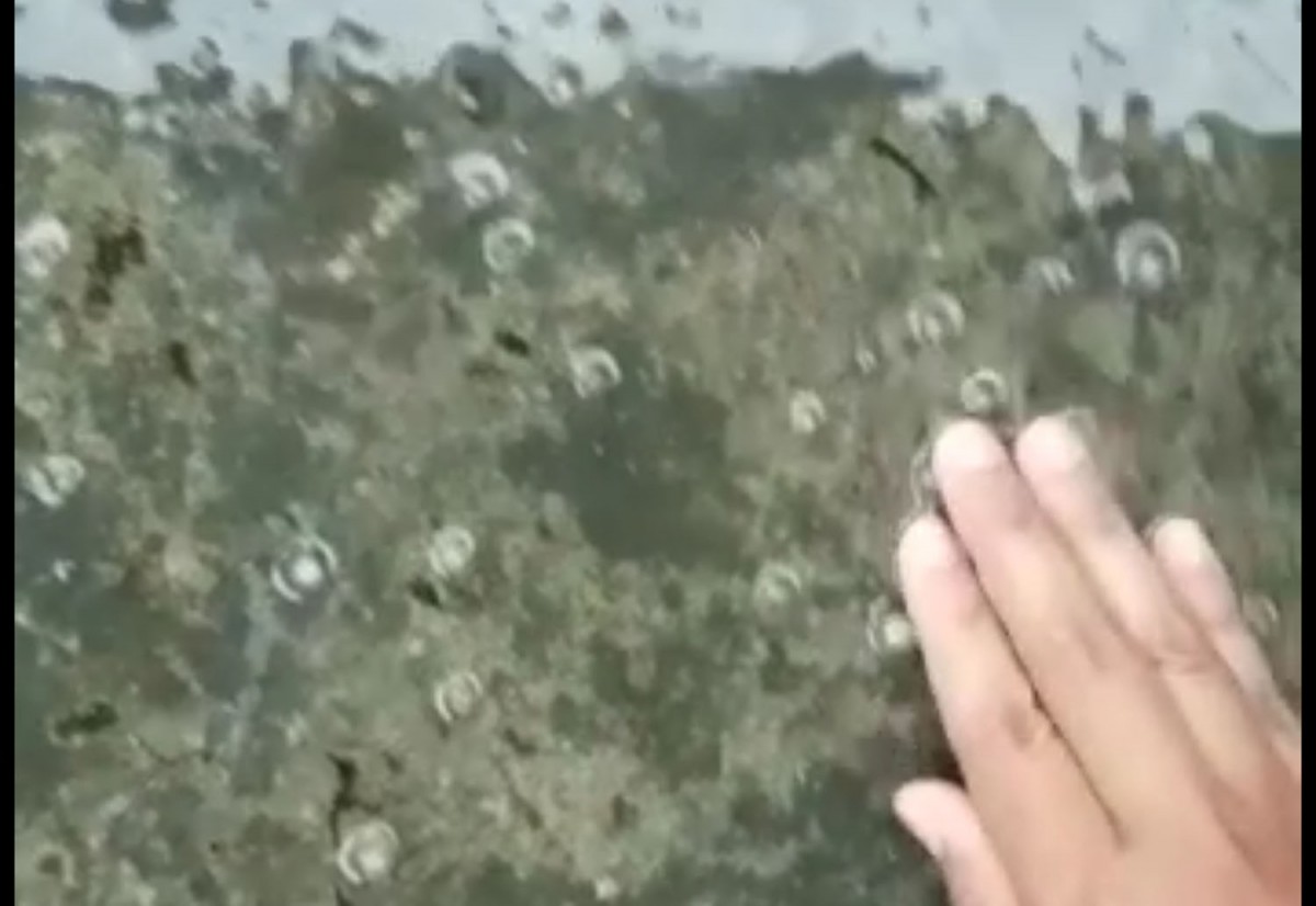 Fenomena hujan es di Desa Ketapanrame, Kecamatan Trawas, Kabupaten Mojokerto (Foto: Tangkapan layar video yang beredar)