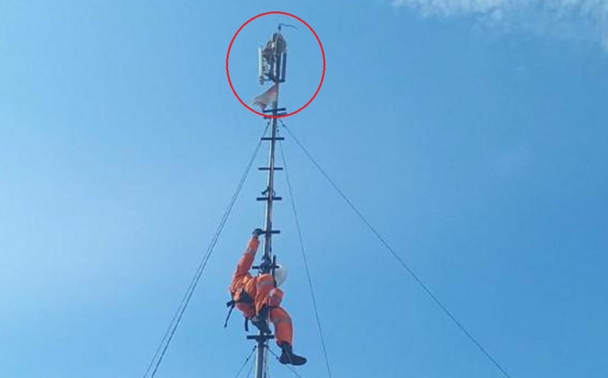 Heboh Sanca Kembang 3 Meter Melilit Tower Wifi, Internet Sekampung Terganggu