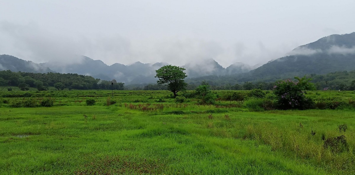 Miliki Warisan Geologi, Pulau Bawean Digagas Jadi Geopark