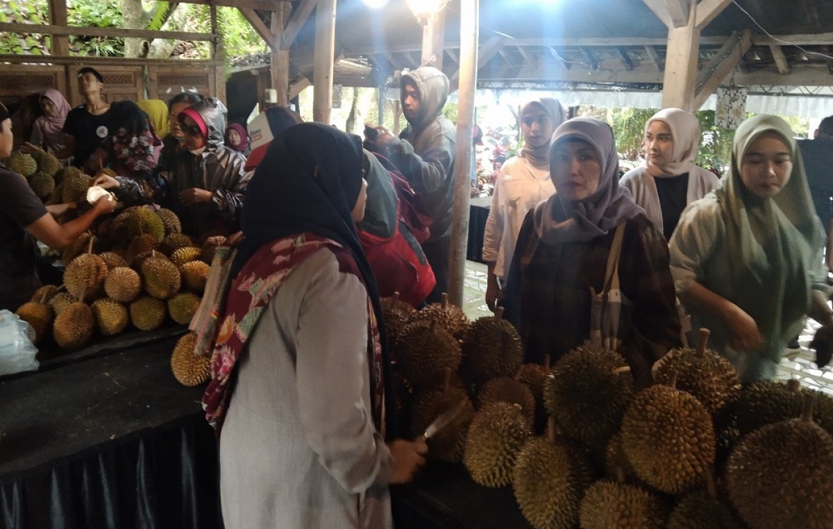Pembeli saat memilih durian di Gebyar Omah Durian. (Foto: Galih Rakasiwi/jatimnow.com)