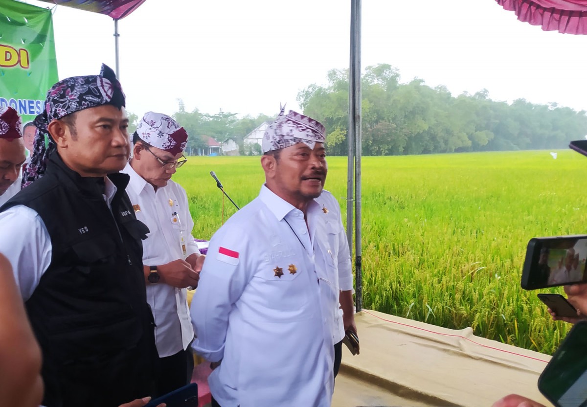 Tinjau Panen Raya Petani Lamongan, Mentan Pastikan Stok Beras Melimpah