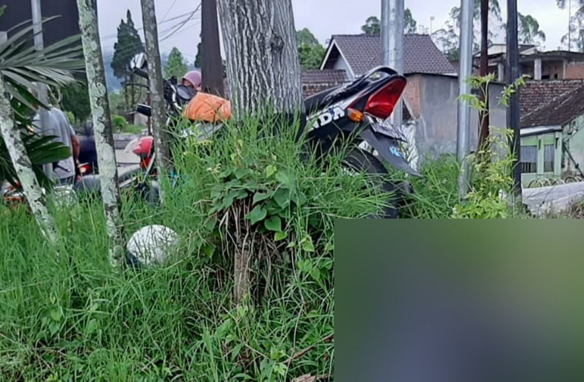 Motor korban menabrak pohon (Foto: Polsek Pujon)