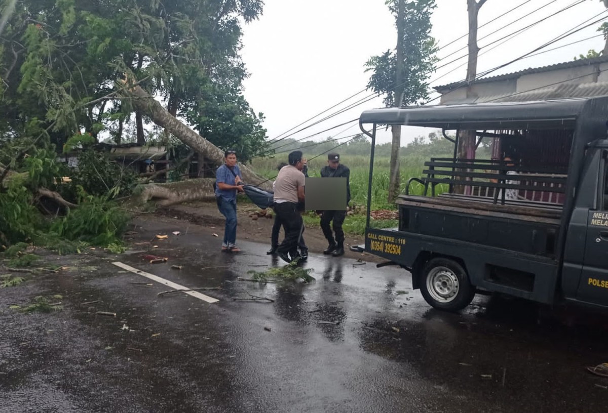 Evakuasi korban pohon tumbang yang mengakibatkan bapak di Kediri tewas (Foto: Polsek Plosoklaten)