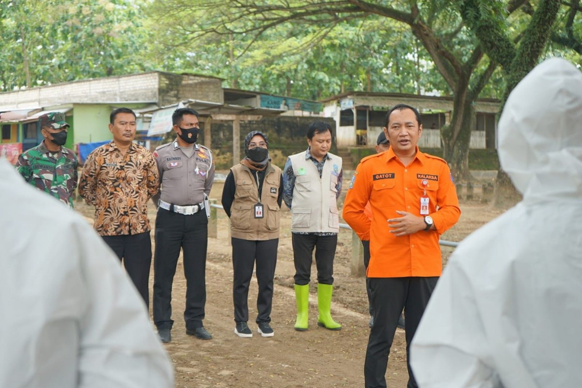 Antisipasi Penyebaran PMK , BPBD Jatim Bentuk Satgas di Perbatasan