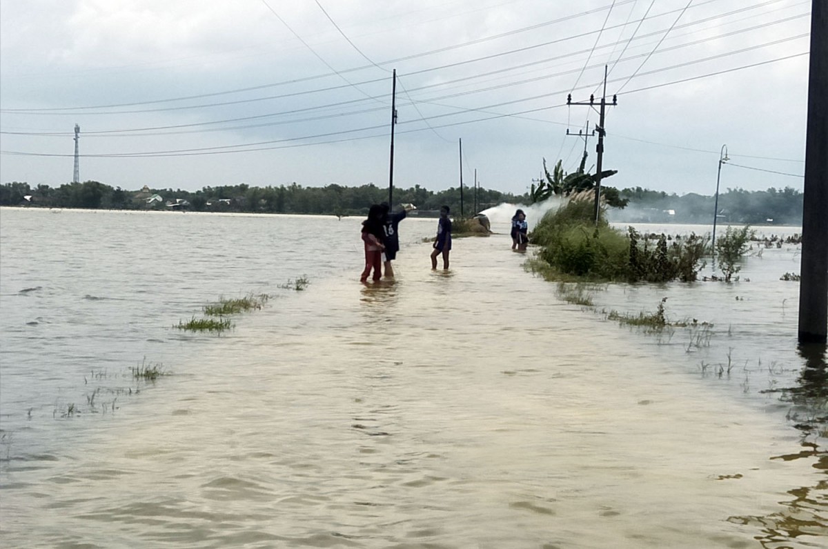 Banjir meremdam areal persawahan di Bojonegoro (Foto: Misbahul Munir/jatimnow.com)