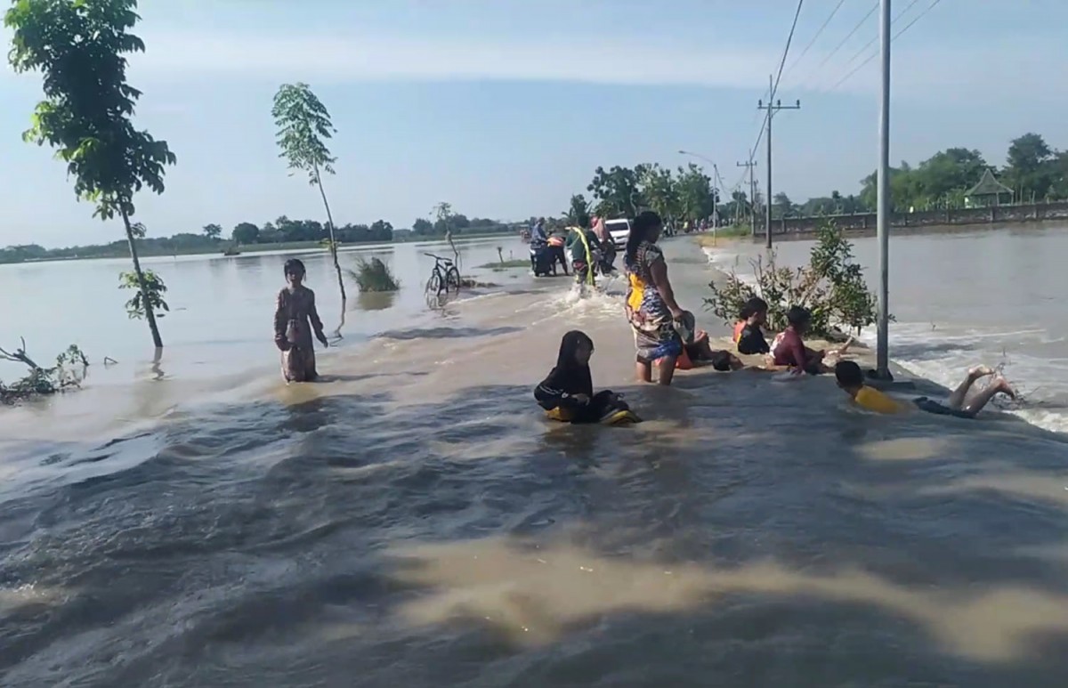Banjir Luapan Bengawan Solo di Tuban: Sekolah Diliburkan, Sawah Warga Terendam