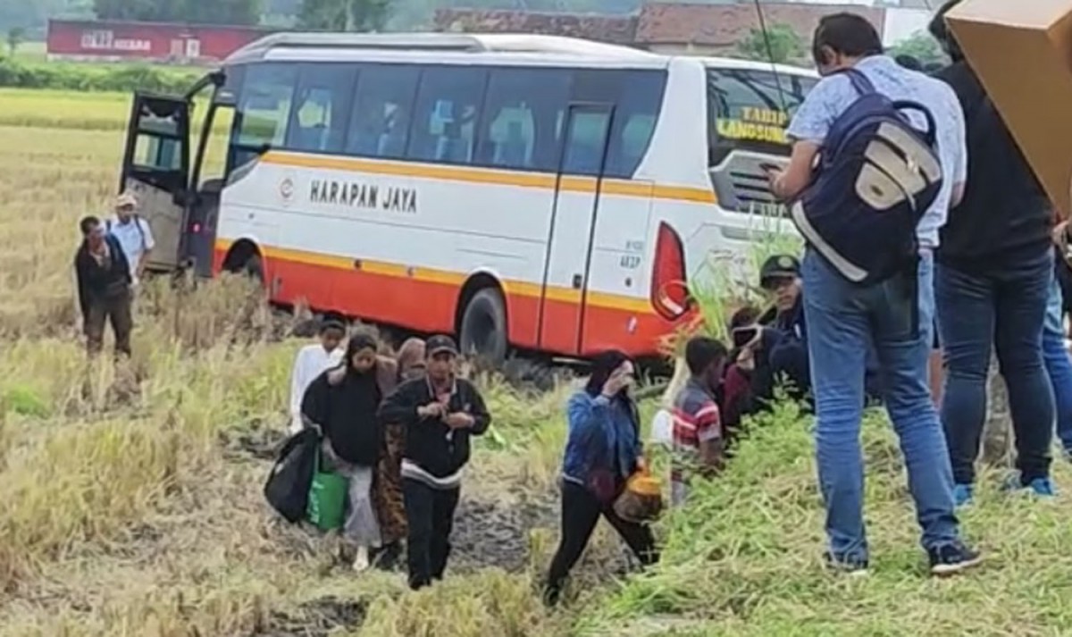 Kondisi PO Harapan Jaya yang masuk sawah di Purwosari, Kediri. (foto: tangkapan layar video amatir)