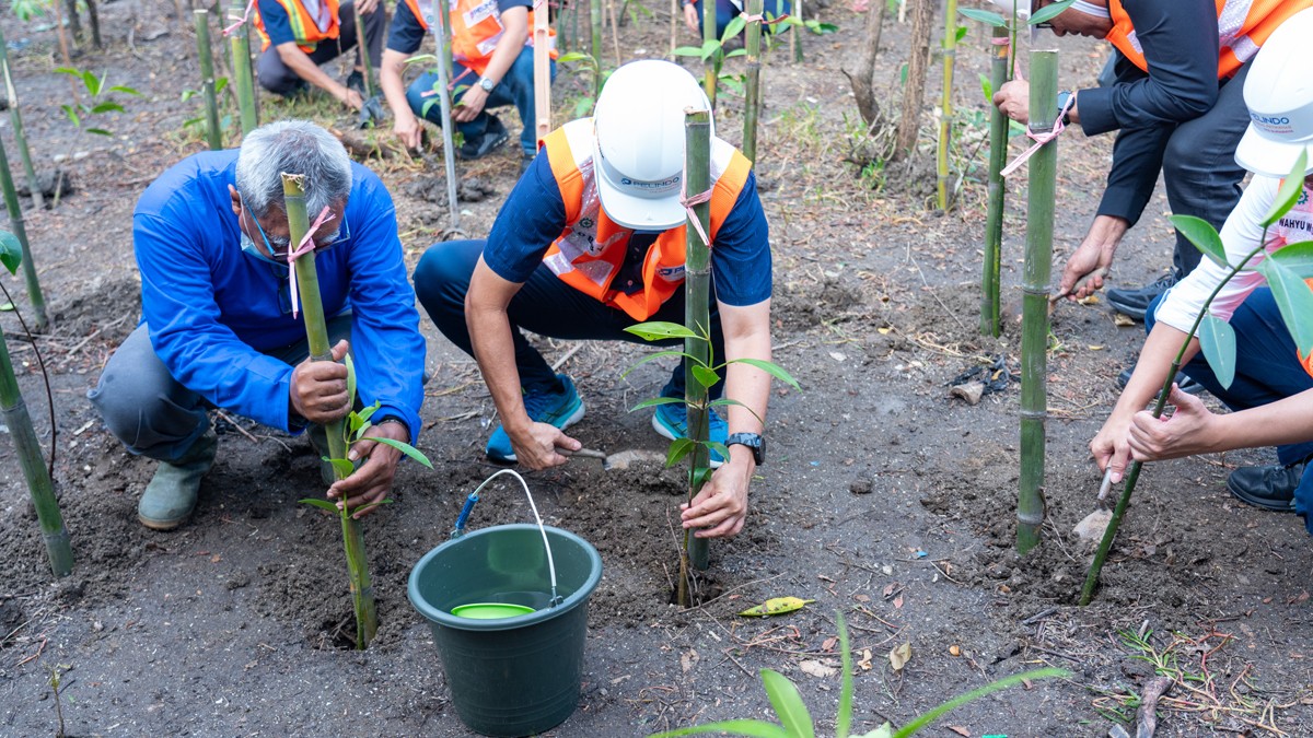 Direktur Teknik TPS, Robby Dayoh (kanan) menanam mangrove untuk menjaga lingkungan. (foto: TPS for jatimnow.com)