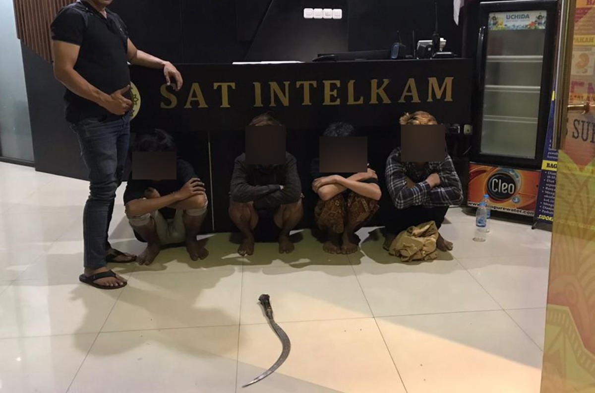 Empat anggota gengster Tiga Kampoeng Surabaya North diamankan (Foto: Satintelkam Polrestabes Surabaya)