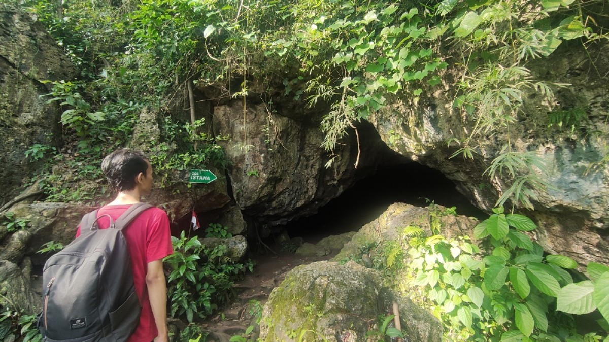 Cek Lokasi Ngabuburit Seru dan Menegangkan di Alas Purwo Banyuwangi
