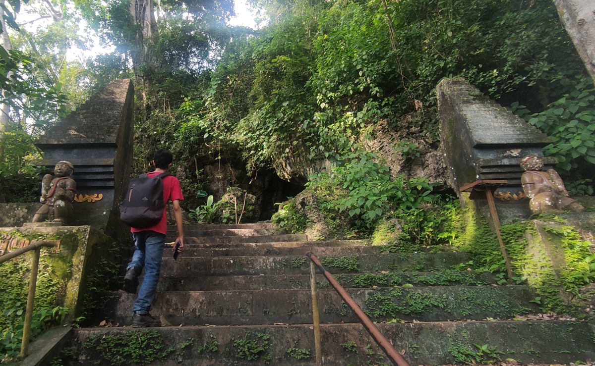 Sedikit Seram! Begini Kondisi Alas Purwo di Banyuwangi saat Ramadan