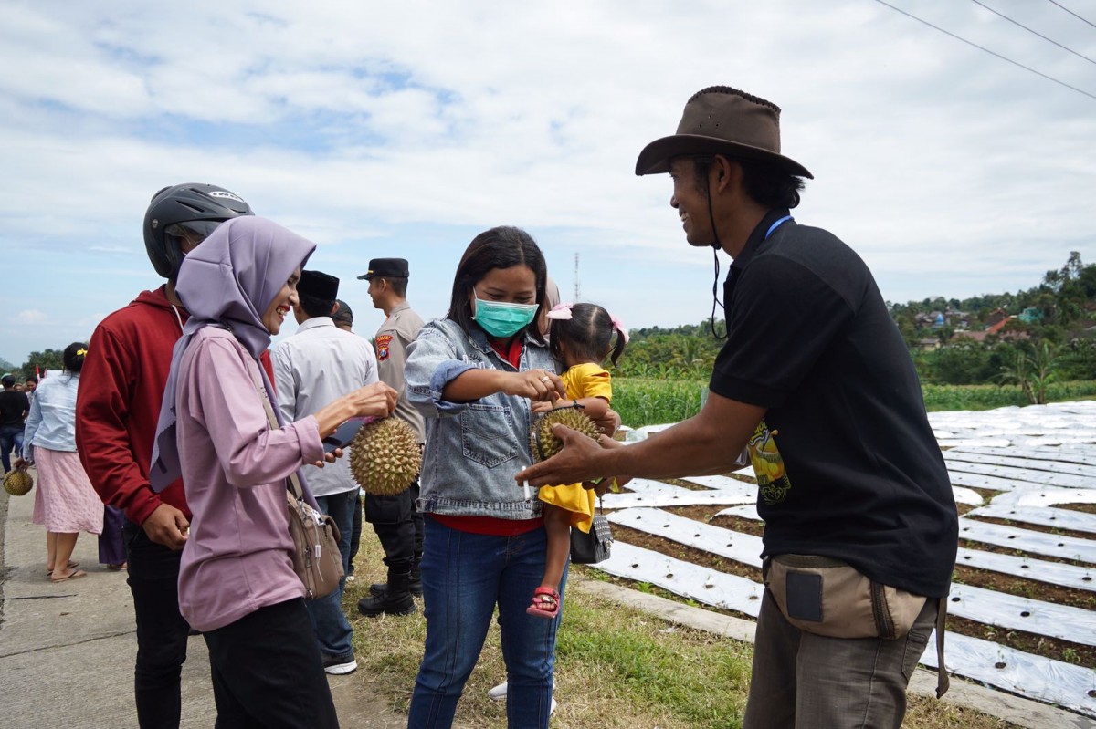 Panitia Dhahar Durian Medowo memberikan durian untuk masyarakat (Foto: Humas Pemkab Kediri/jatimnow.com)