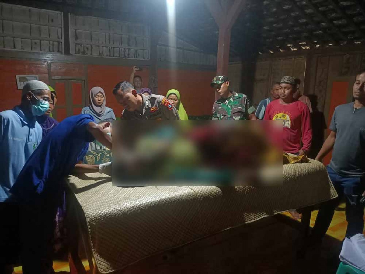 Pria Lamongan Tewas Jatuh dari Pohon saat Cari Pakan Ternak