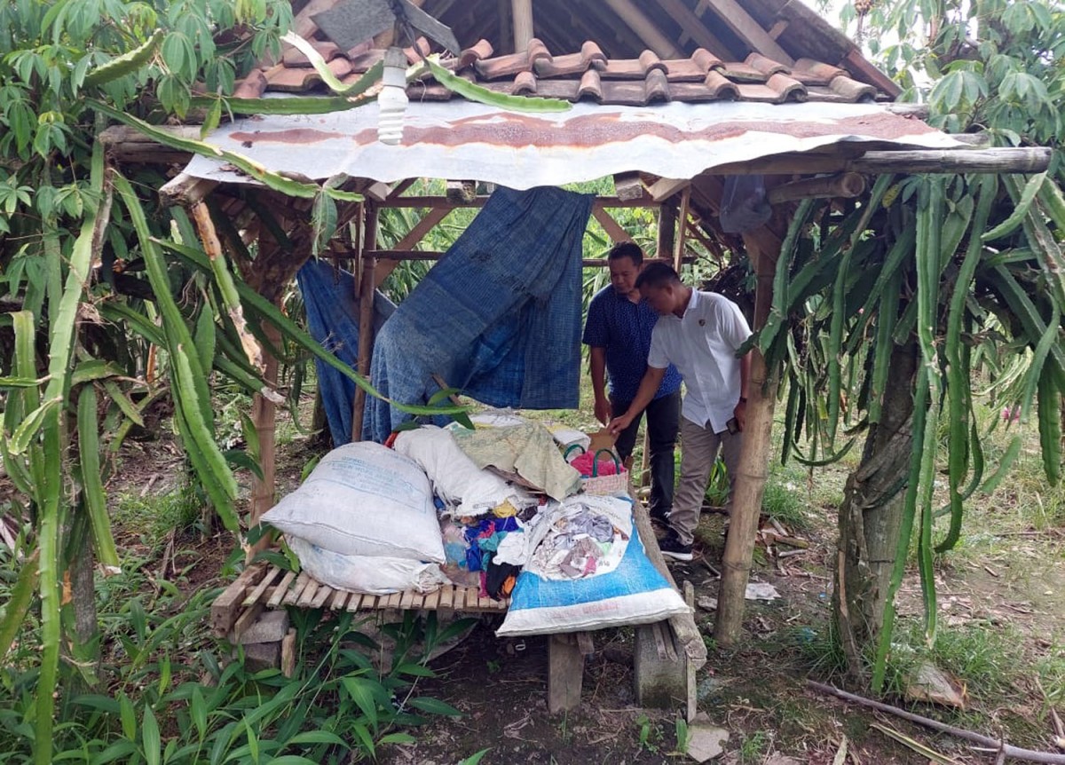 Polisi menunjukkan gubuk, sebagai salah satu tempat tiga manula memerkosa siswi SMP di Banyuwangi (Foto: Polsek Muncar for jatimnow.com)