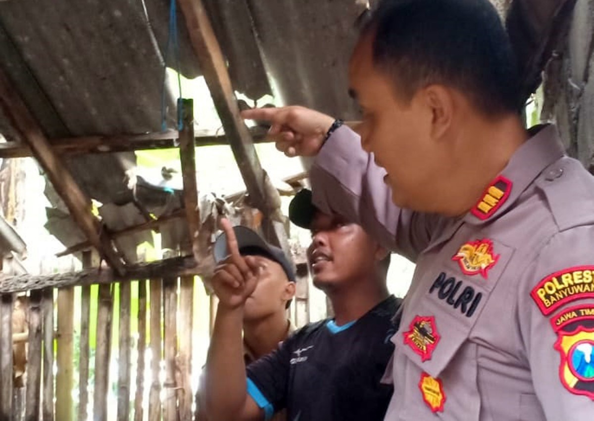 Polisi mengecek TKP (Foto: Polsek Cluring for jatimnow.com)