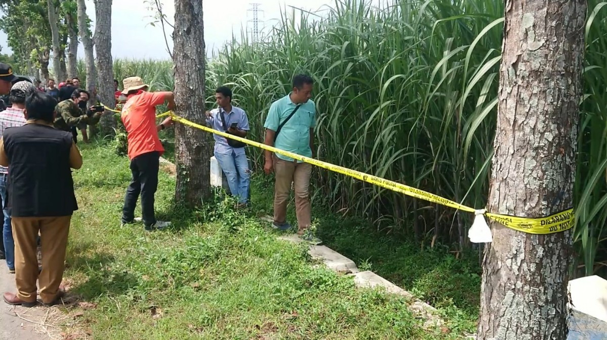 Lokasi penemuan bayi. (Foto: Bramanta Pamungkas for jatimnow.com)