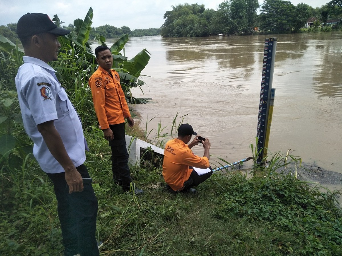 Petugas BPBD Bojonegoro saat melakukan pemantauan ketinggian muka air di Taman Bengawan Solo (TBS). (Foto: Misbahul Munir/jatimnow.com)