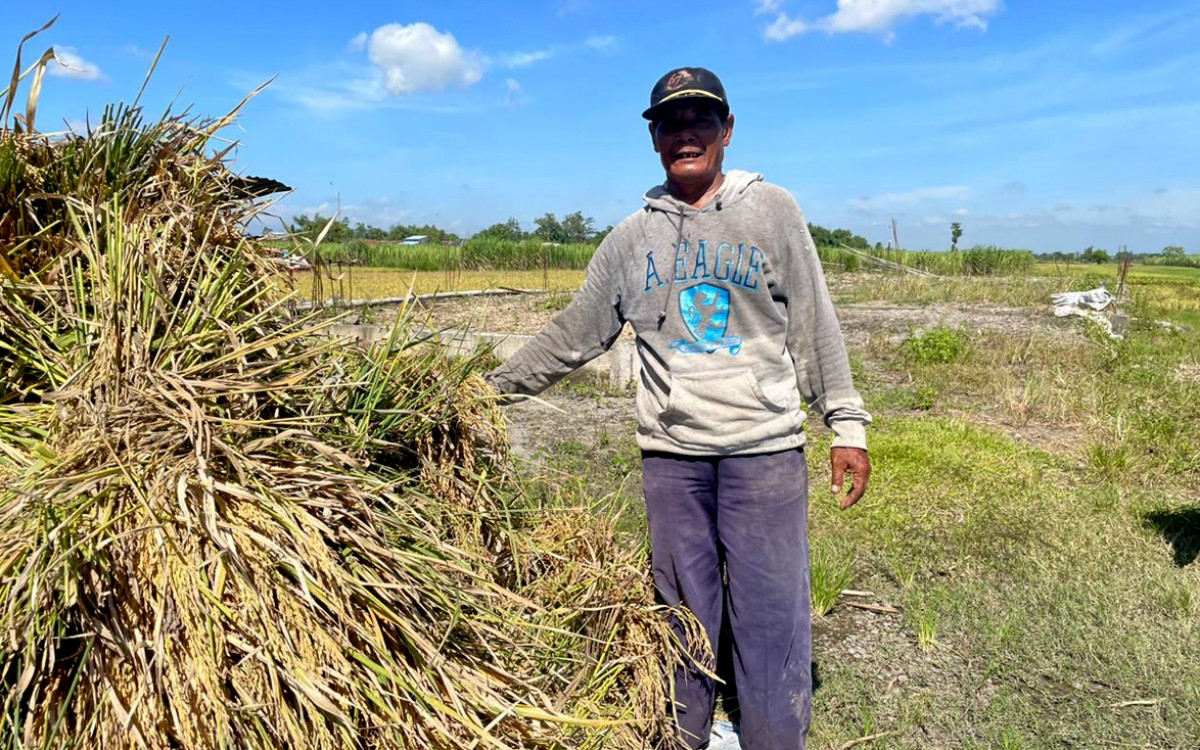 Mukid menunjukkan hasil panen padi yang harga gabah sempat anjlok. (foto: Elok Aprianto/jatimnow.com)
