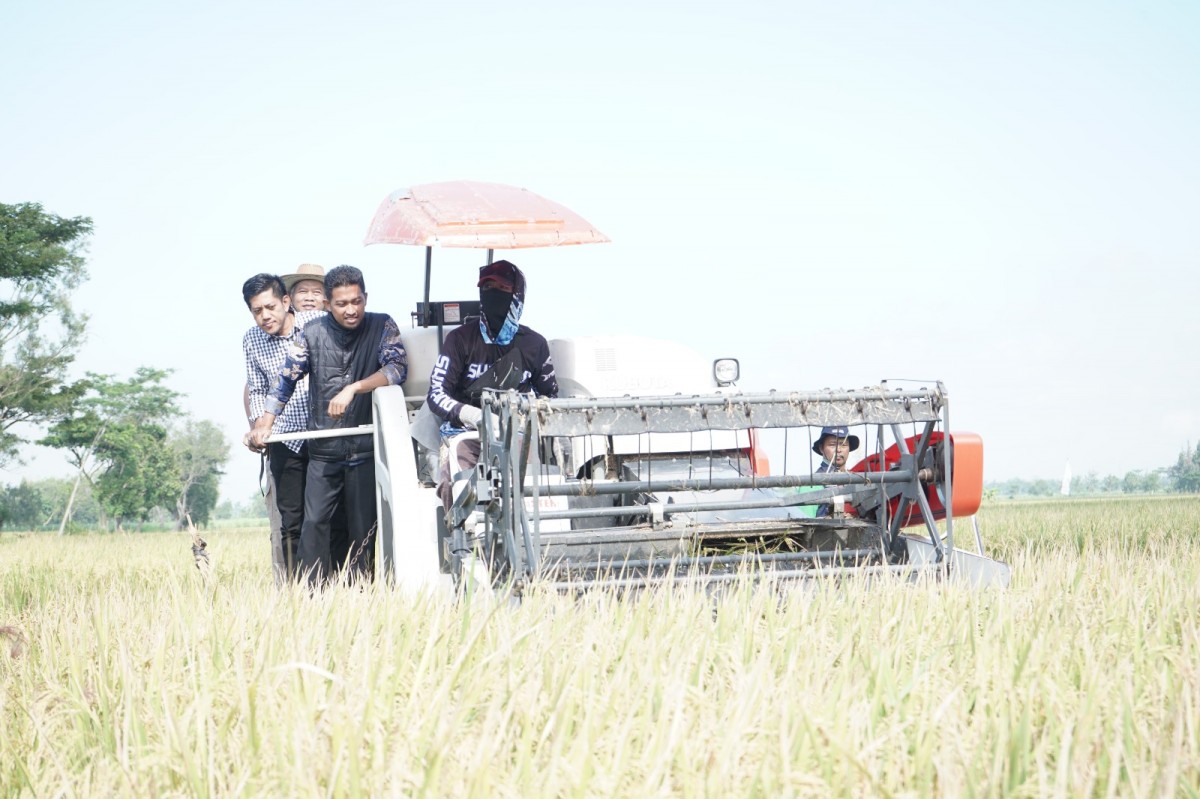14.781 Hektare Padi di Kabupaten Kediri Siap Dipanen Maret ini