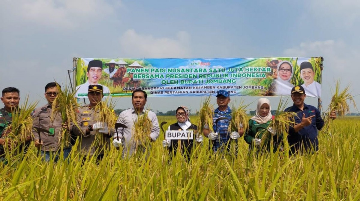 Bupati Jombang Hj Mundjidah Wahab saat panen raya padi di Desa Carangrejo, Kecamatan Kesamben. (foto: Elok Aprianto/jatimnow.com)