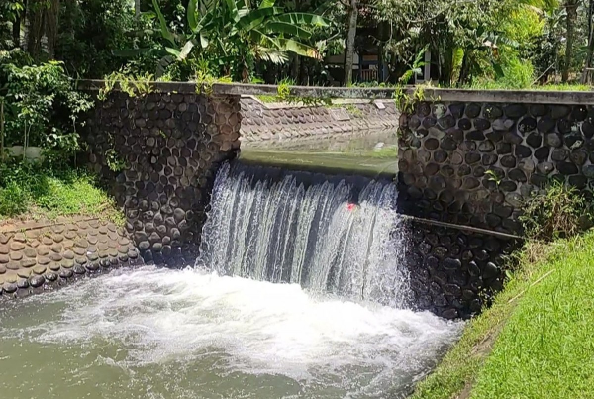 Saluran irigasi, lokasi tewasnya bocah SD yang disebut sebagai istana gaib (Foto: Eko Purwanto/jatimnow.com)