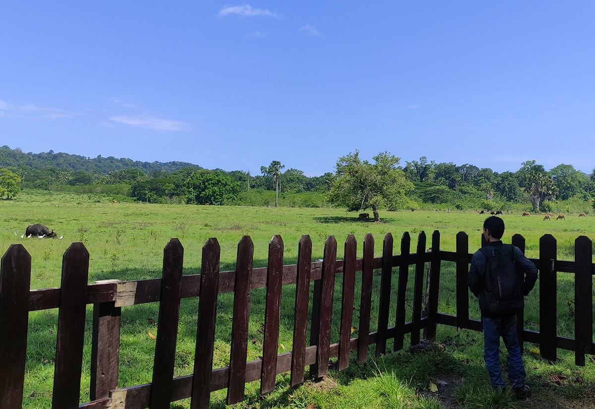 Alas Purwo Jadi Tempat Favorit Ngabuburit di Banyuwangi