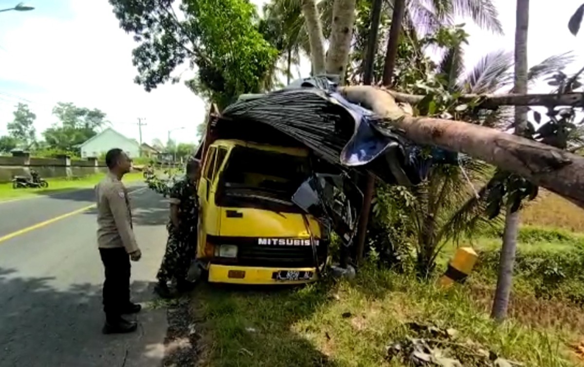 Truk bermuatan besi asal Sidoarjo menabrak pohon di Banyuwangi (Foto: Eko Purwanto/jatimnow.com)