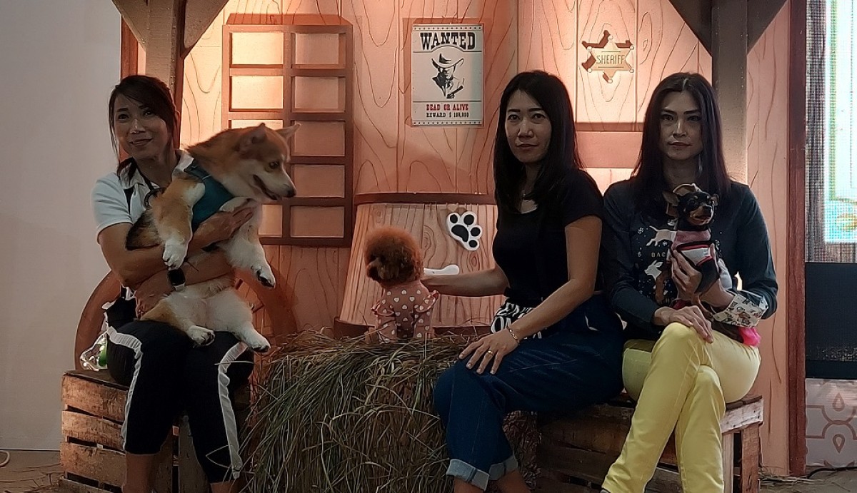 Anjing-anjing beradu centil dalam ulang tahun Mercy, di Atrium Pakuwon City Mall, Surabaya (Foto-foto: Ni'am Kurniawan/jatimnow.com)