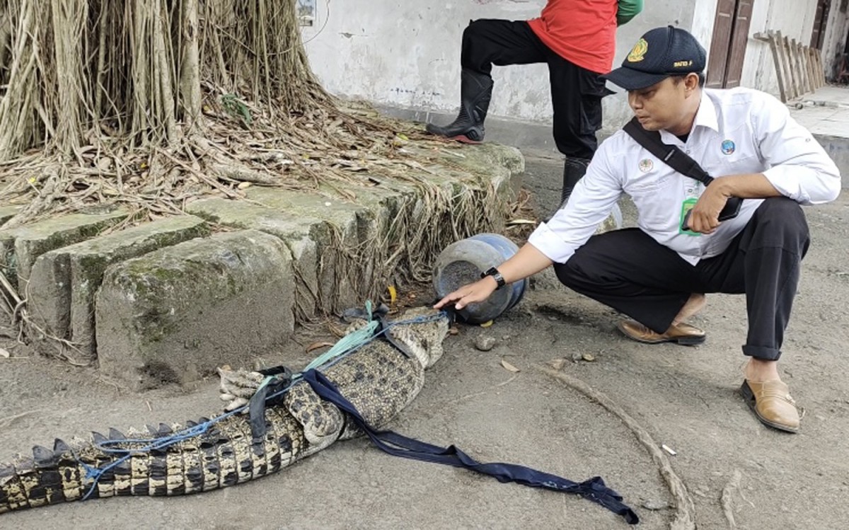 Kepala Resor Konservasi Wilayah 01 Kediri BBKSDA Jawa Timur, David Fathurohman (Foto: Yanuar Dedy/jatimnow.com)