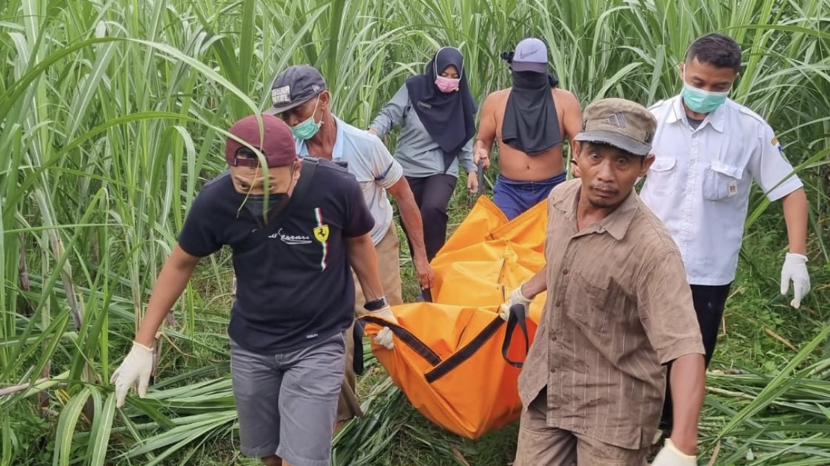 Proses evakuasi mayat wanita di kebun tebu (Foto: Polres Kediri/jatimnow.com)