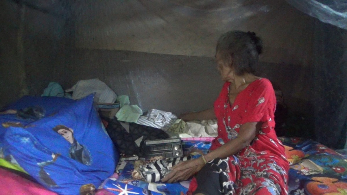 Nenek di Jombang Hidup Sebatang Kara Bersama Ayam
