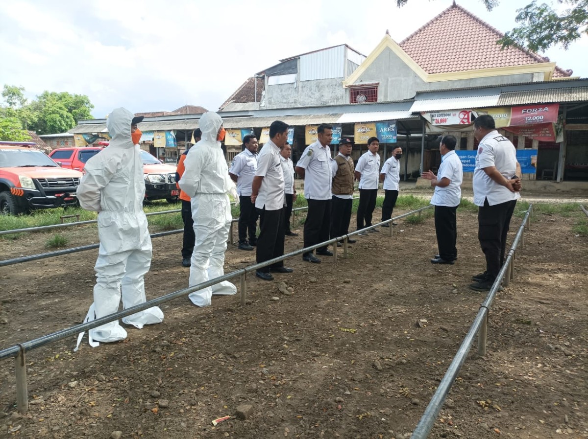 Distribusi Ternak ke Jatim Diperketat Jelang Lebaran, Pastikan Daging Aman Dikonsumsi