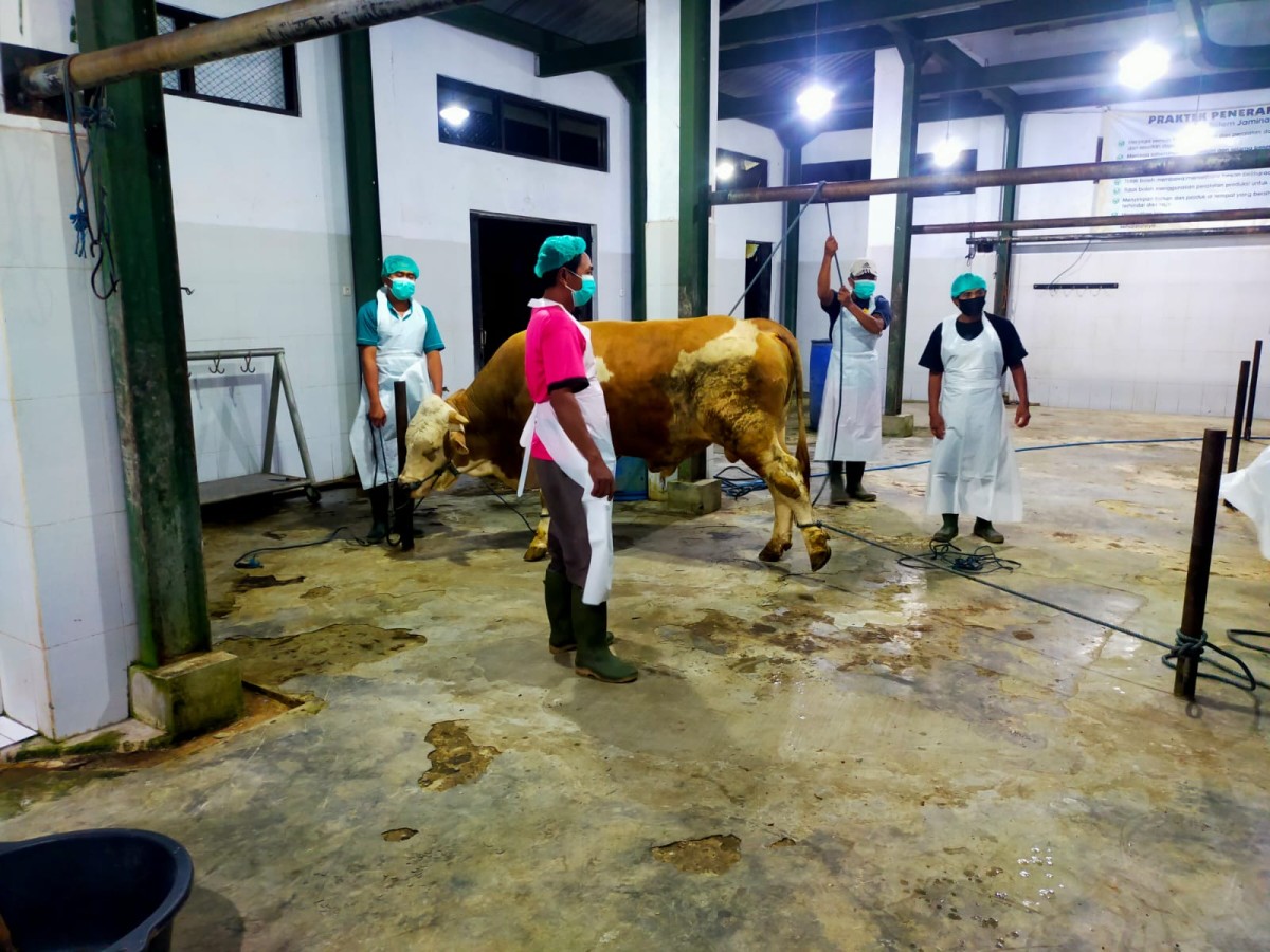 Aktivitas di salah satu RPH di Banyuwangi (Foto: Humas Pemkab Banyuwangi)