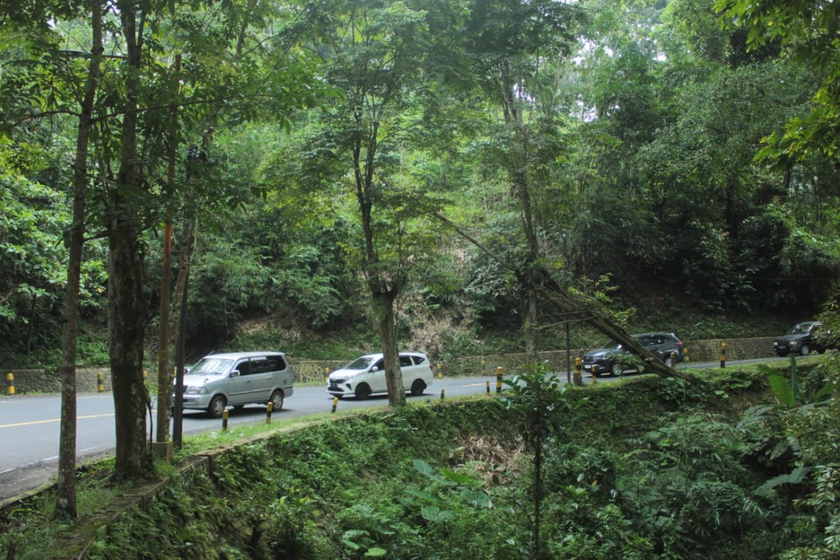 Pantauan arus kendaraan di jalur Gumitir. (Foto: Eko Purwanto/jatimnow.com)