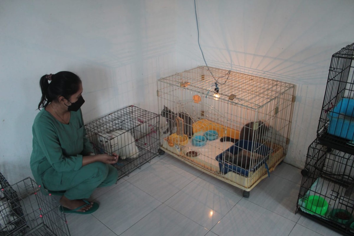 Jastip Hewan di Banyuwangi Laris Manis Jelang Lebaran 2023