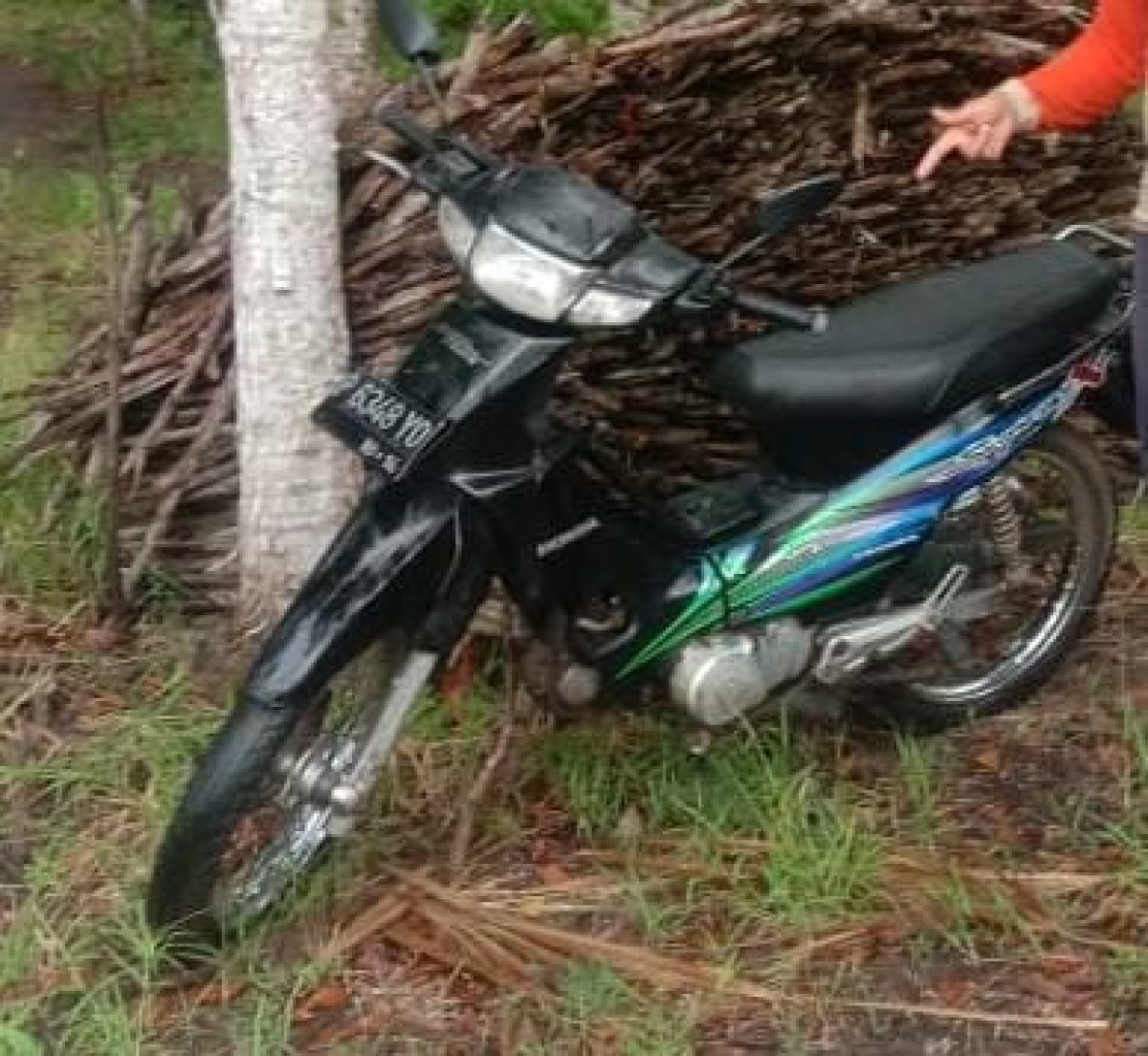 Pria Banyuwangi Terlapor Kasus Pencabulan Ditemukan Membusuk di Hutan Jati