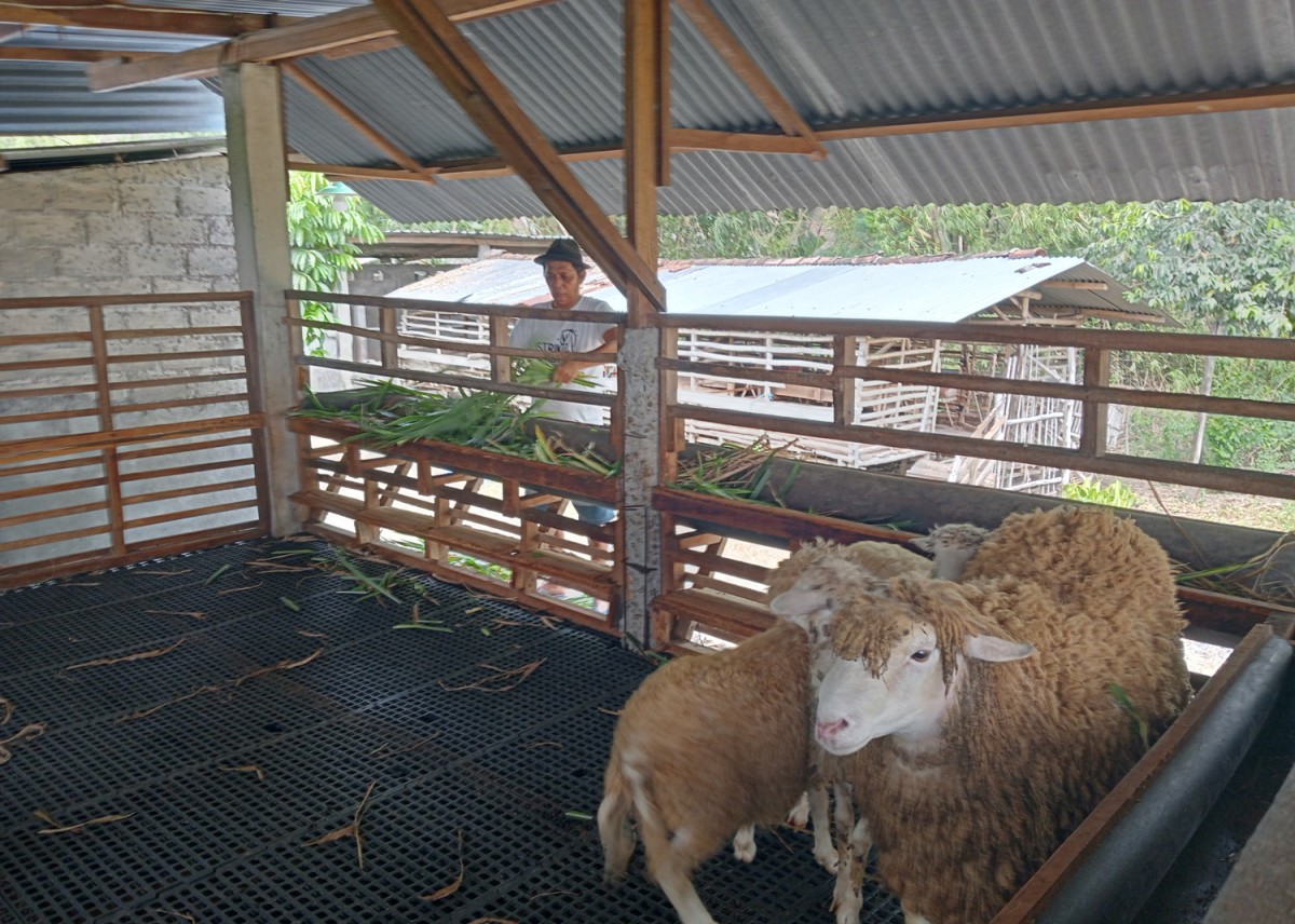 Suparno, peternak asal Jombang yang mendaftar jadi Bacaleg PDIP (Foto: Elok Aprianto/jatimnow.com)