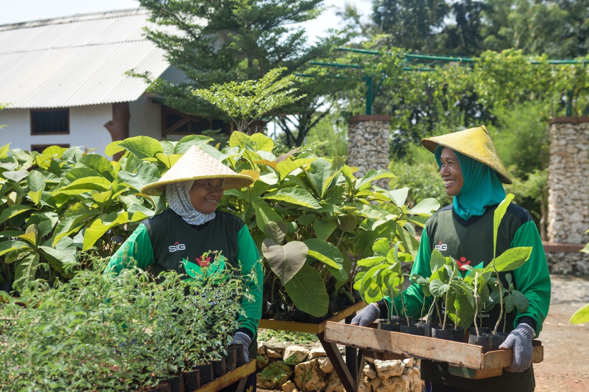 Petani green belt melakukan pembibitan tanaman kaliandra merah di area green house eco park kembang semi, untuk reklamasi lahan pascatambang SIG di Pabrik Tuban, Jawa Timur (Foto-foto: SIG)