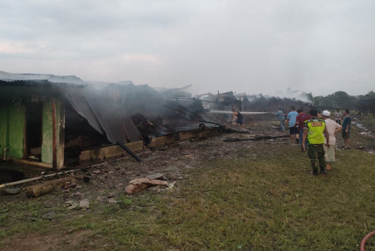Kandang PT Charoen Pokphand Jaya Farm 2 Jombang Terbakar, 19 Ribu Ayam Terpanggang