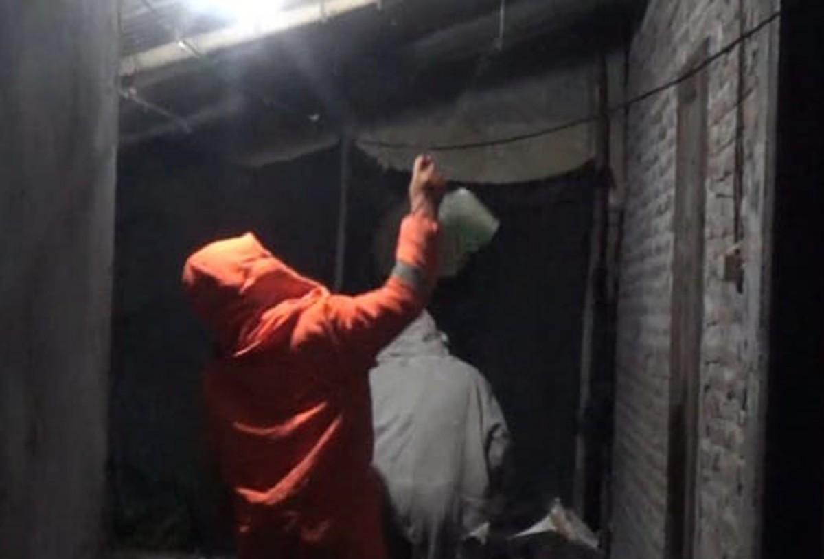 Evakuasi sarang tawon vespa di rumah warga Jombang (Foto: Elok Aprianto/jatimnow.com)