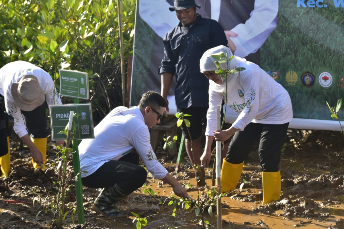 Gubernur Jatim, Khofifah Indar Parawansa bersama Bupati Trenggalek Mochamad Nur Arifin saat menghadiri pembukaan Festival Mangrova di Trenggalek (Foto: Dok. Prokopim Trenggalek)