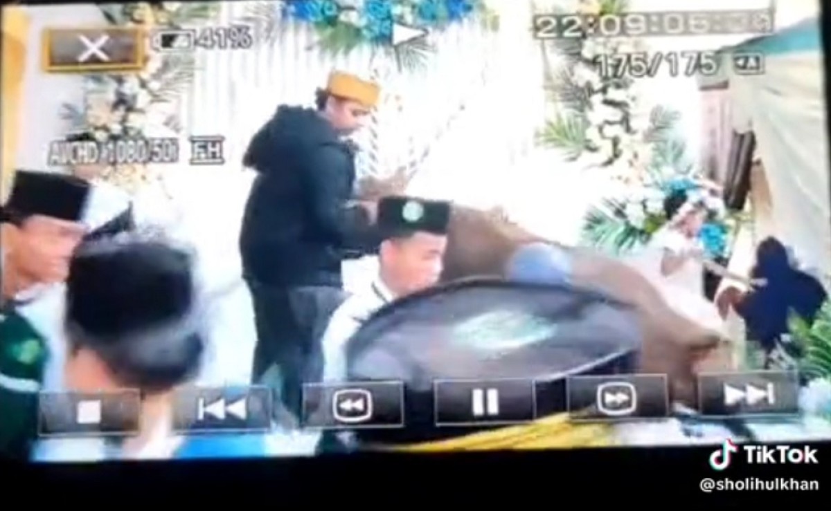 Viral Video Sapi Mengamuk Naik Pelaminan di Sampang, Tamu Undangan Diseruduk