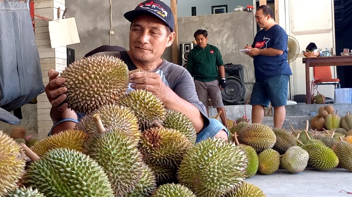 Pedagang durian di wilayah Kecamatan Watulimo Trenggalek. (Foto-foto: Bramanta Pamungkas/jatimnow.com)
