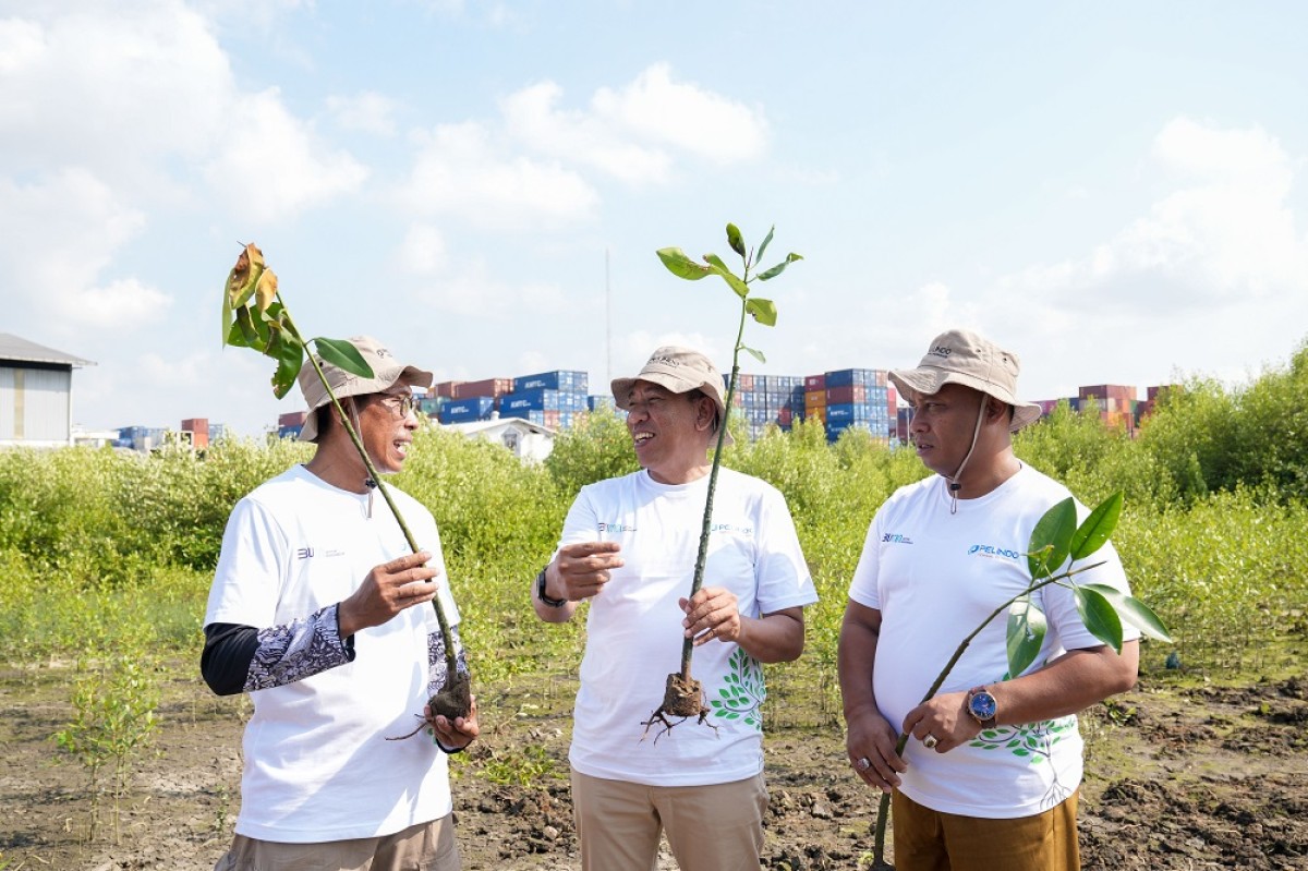 (Dari kiri) Ketua Pokdarwis Sontoh Laut Surabaya Shodiq Machfudz, Direktur SDM PT Pelindo Terminal Petikemas AdySutrisno, dan Camat Asemrowo Surabaya Muhammad Khusnul Amin saat berbincang usai penanaman mangrove di Kampung Sontoh Laut.