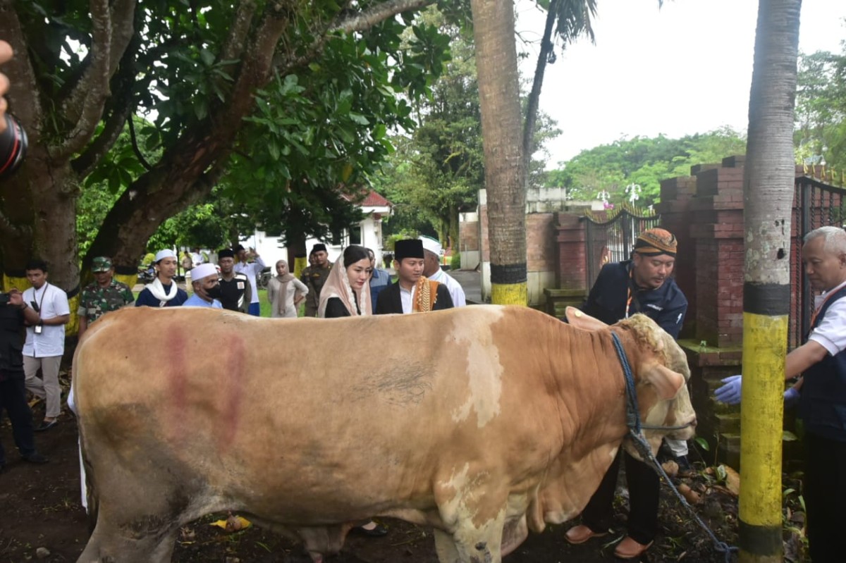 Pesan Mas Ipin untuk Takmir Masjid di Momen Idul Adha
