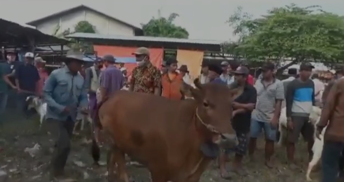 Pedagang sapi di Bangkalan. (Foto: Fathor Rahman/jatimnow.com)