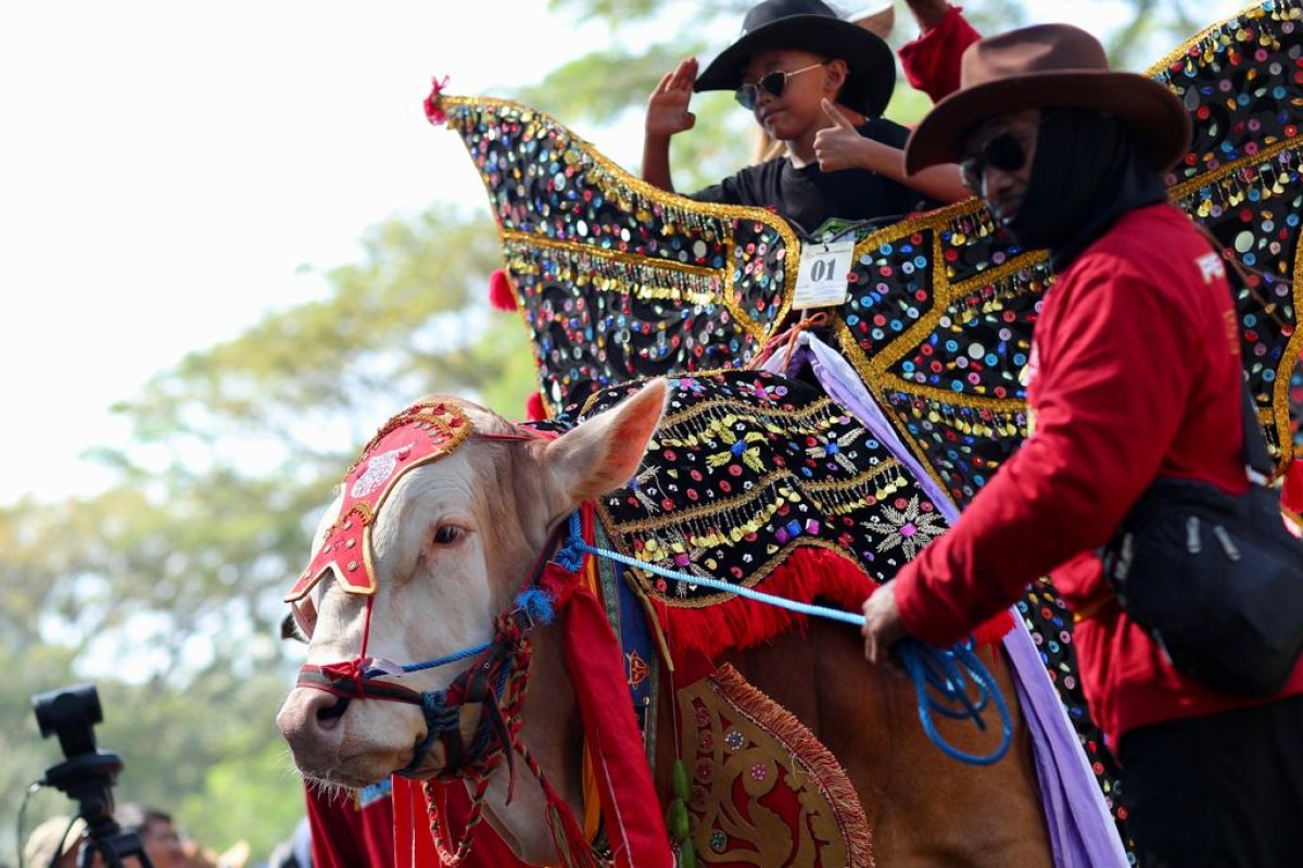 Livestock Contest 2023 di Banyuwangi. (Foto-foto: Humas Pemkab Banyuwangi/jatimnow.com)